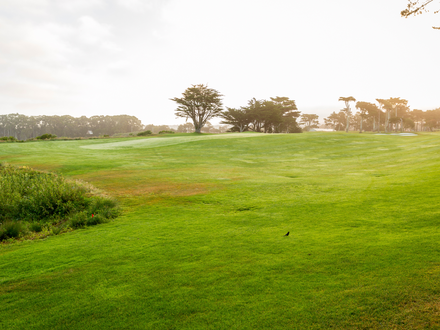 Campo de Golf
