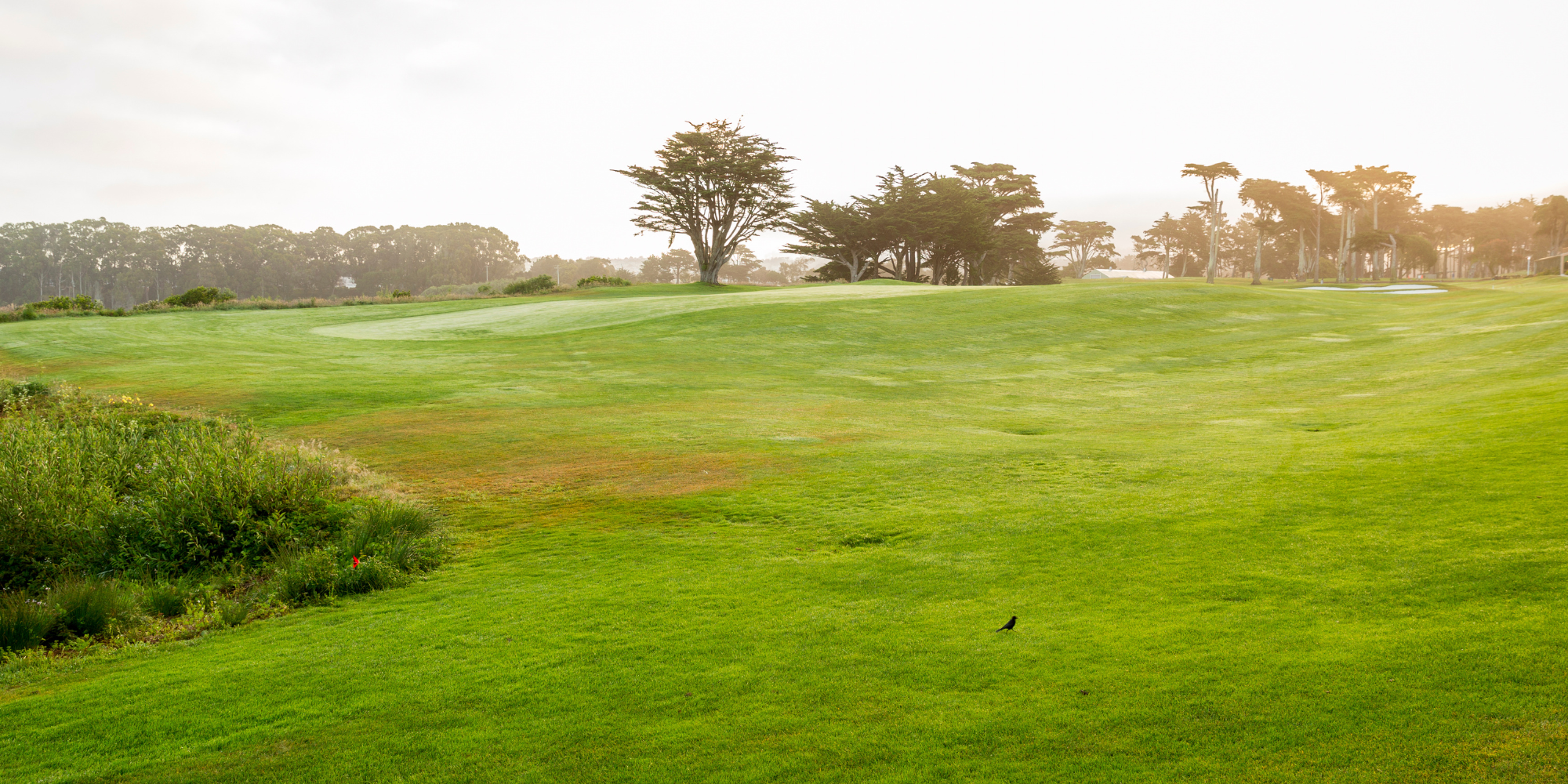 Campo de Golf